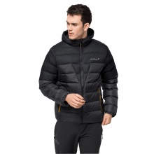 Jack Wolfskin Winter Down Jacket DNA Tundra Hoody (very warm, windproof, PFC-free) phantom grey Men